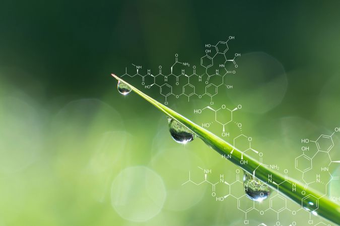 Europe at a Crossroads: A Talent-Driven Future for Bio-Based Polymers